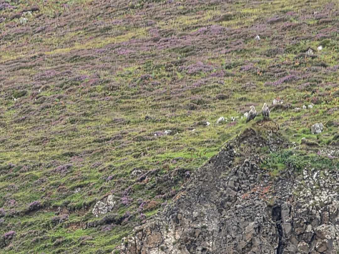 Stardust Boat Trips Portree-Portree必去景点