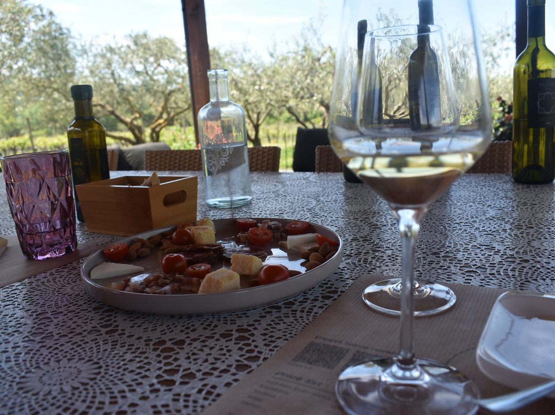 Winery Bratos-Gruda必去景点