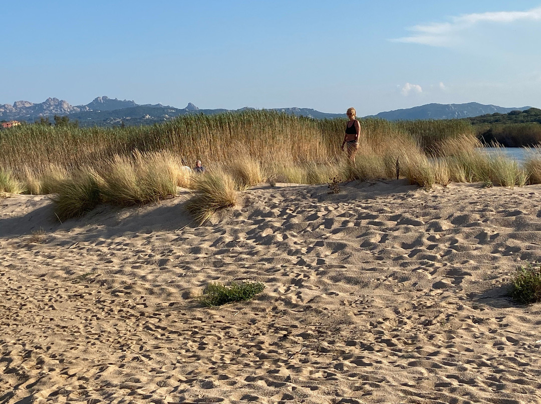 Spiaggia Porto Liscia-圣特雷莎加卢拉必去景点