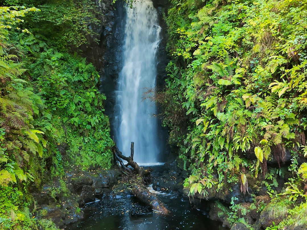 Cranny Falls-Carnlough必去景点