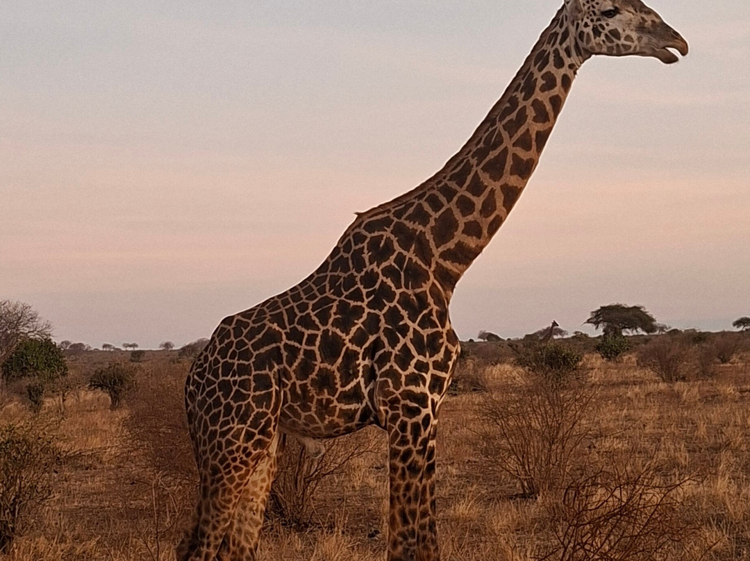 Watamu Diego Safari Day Tours-瓦塔木必去景点