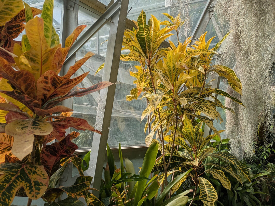University of Oxford Botanic Garden-牛津必去景点
