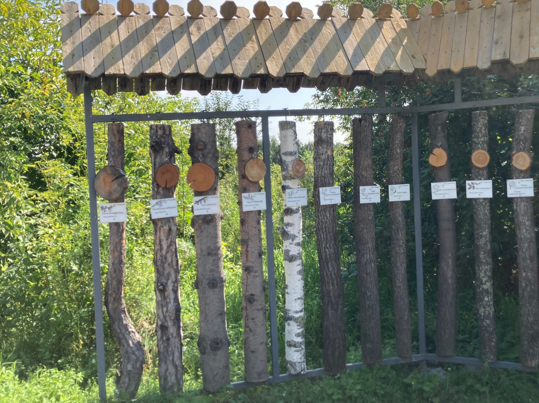 Natural Scientific Museum of the Ilmen State Reserve-Miass必去景点