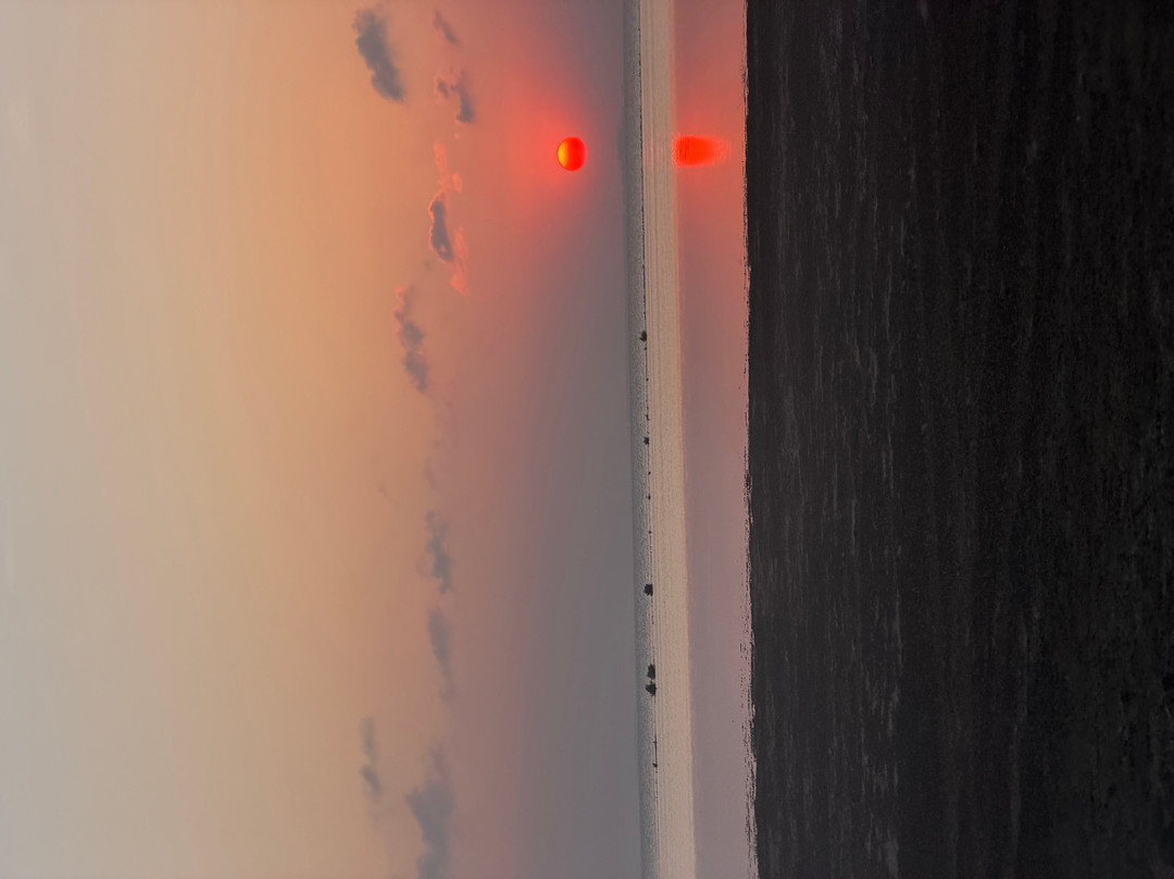 South Padre Island Adventure Park-南帕诸岛必去景点