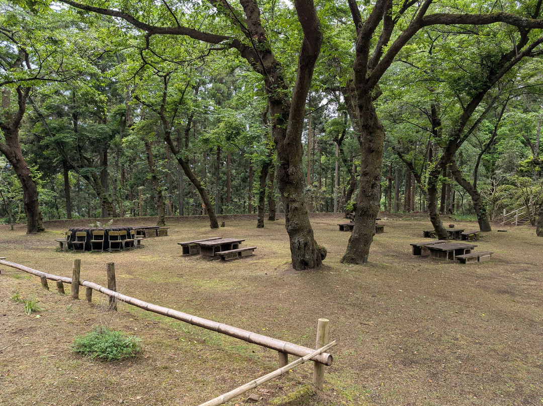 Saimyoji Temple Historic Park-松田町必去景点