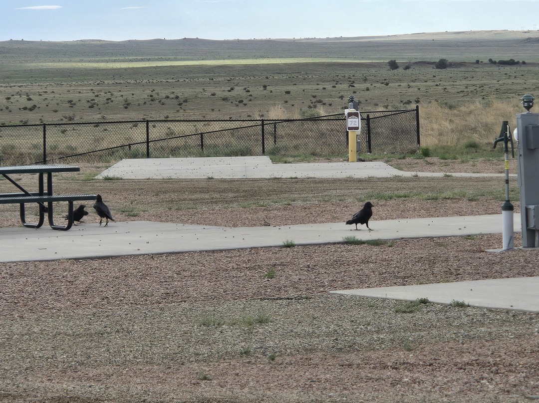 Love's RV Stop-Walsenburg CO 660