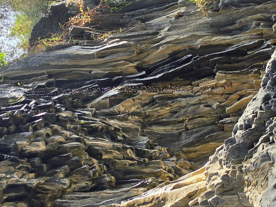 Le Gole dell'Alcantara-Castiglione di Sicilia必去景点
