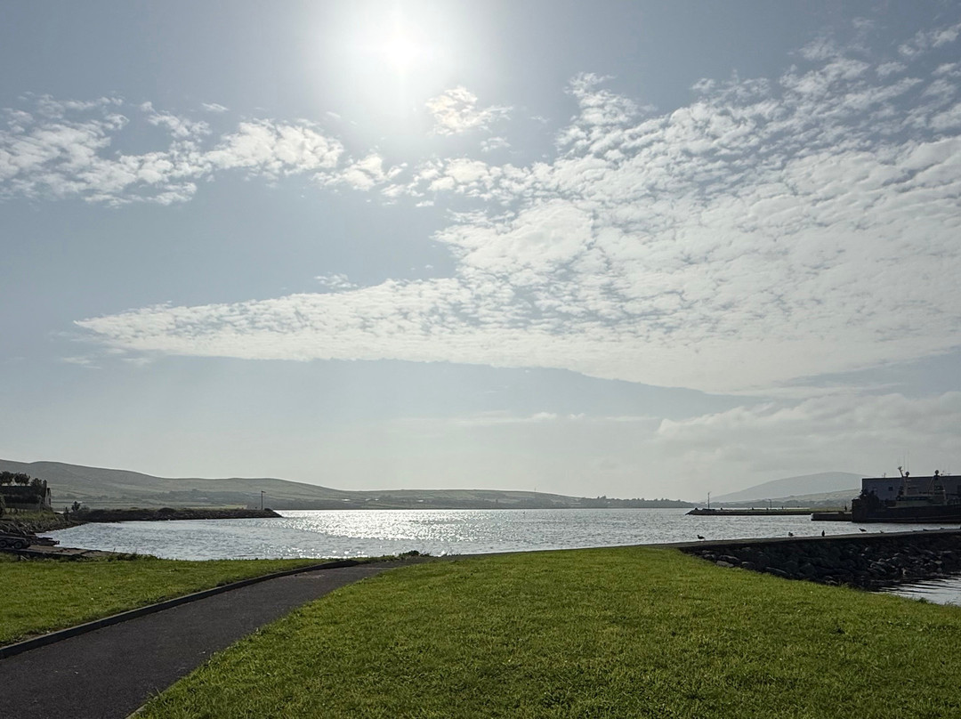 Connect the Dots Tours of Ireland-都柏林必去景点