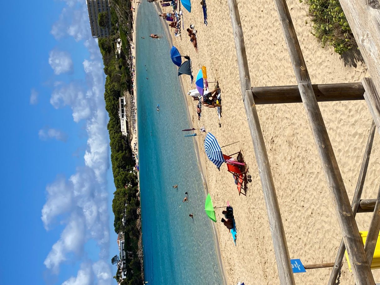 梅诺卡帕拉丁姆酒店-旅行者