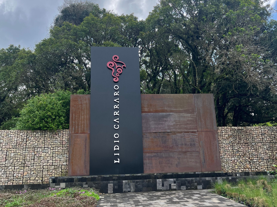 Lidio Carraro Vinícola Boutique-本图贡萨尔维斯必去景点