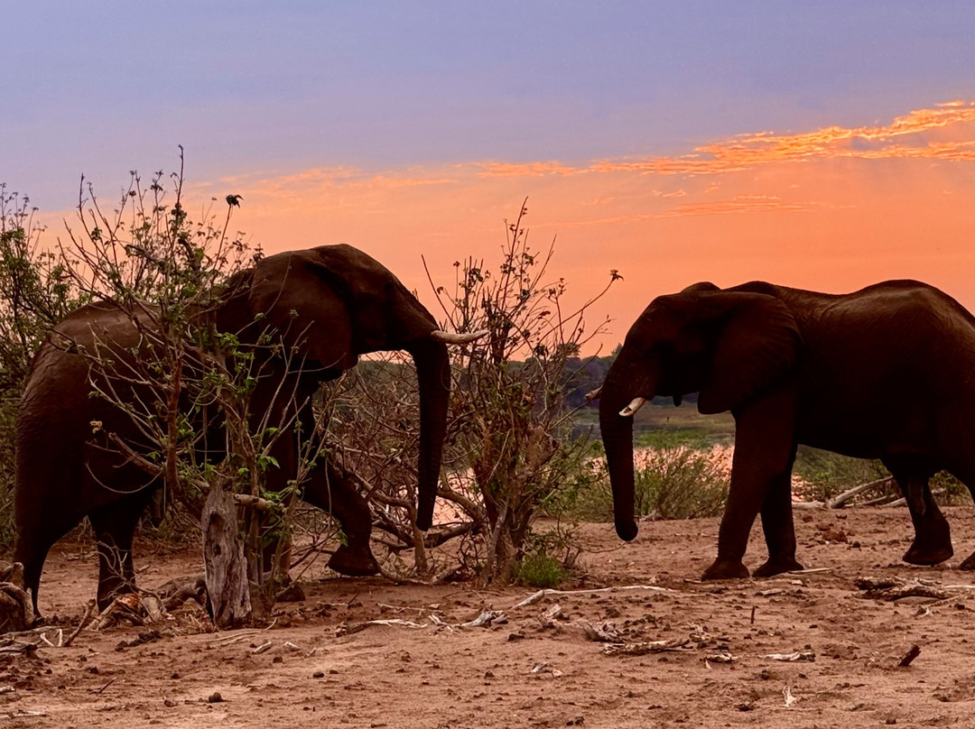 Africa's Best Adventures-开普敦必去景点