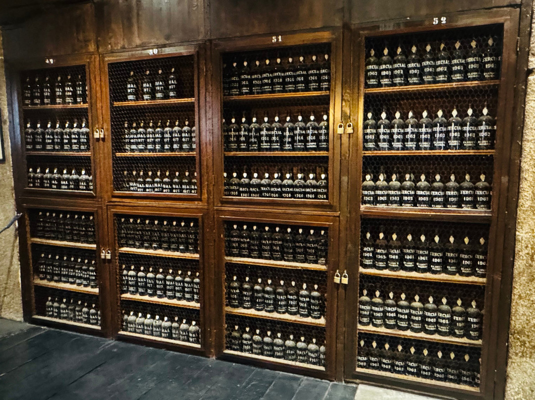 Blandy's Wine Lodge-沙尔必去景点
