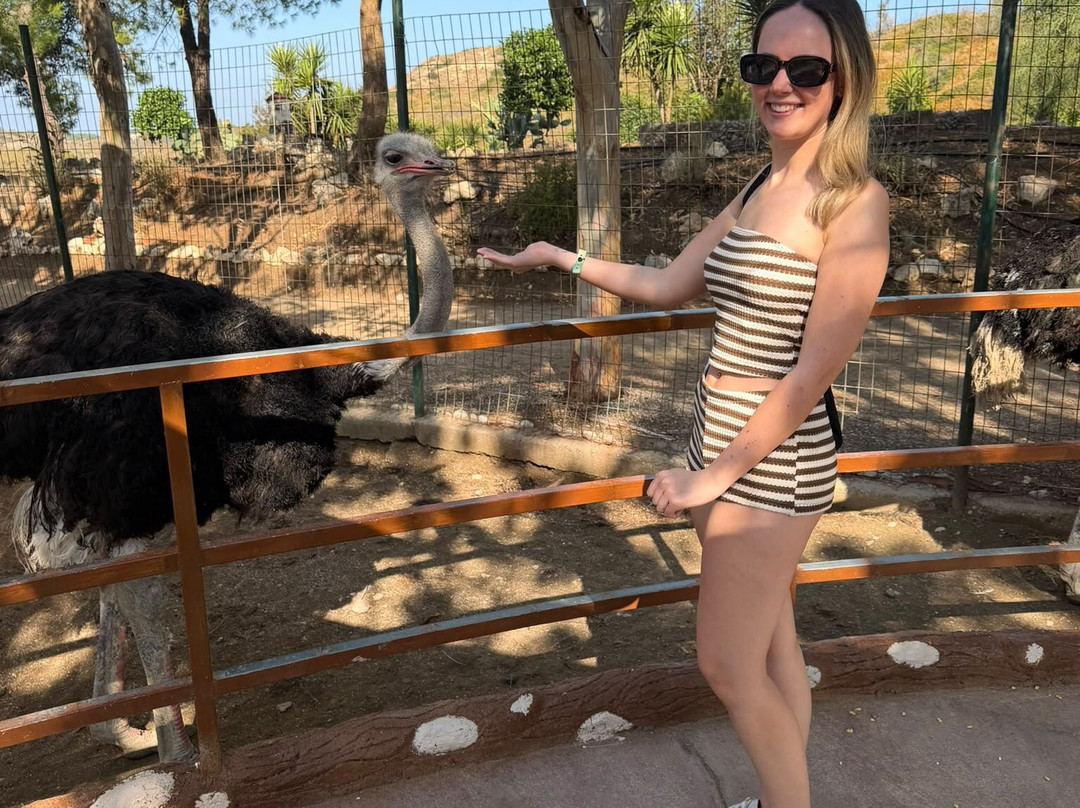 Farma of Rhodes Petting Zoo-Theologos必去景点