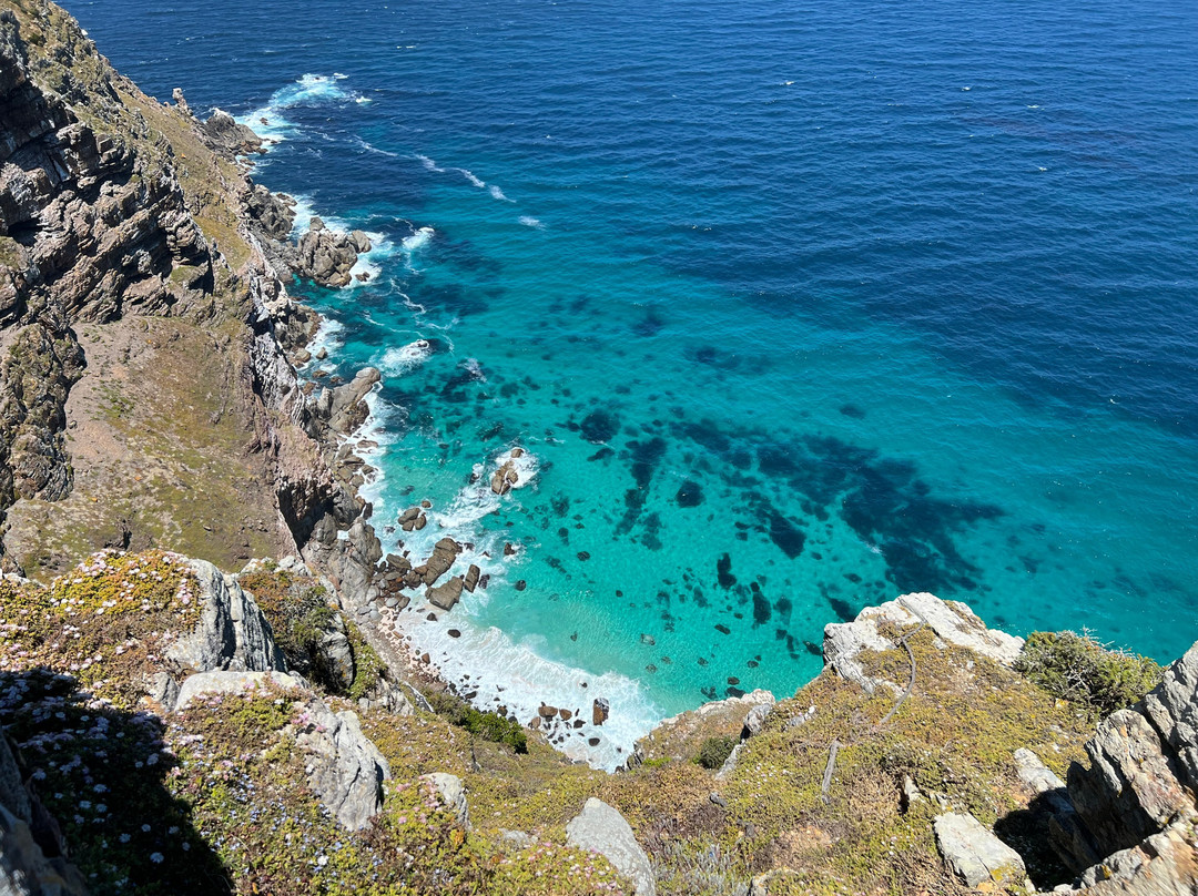 Table Mountain National Park-Cape Point必去景点