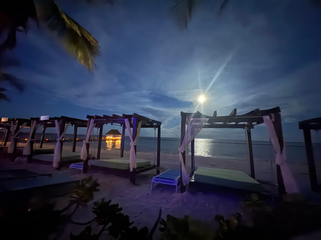Margaritaville Island Reserve Riviera Cancun (All Ages)主图