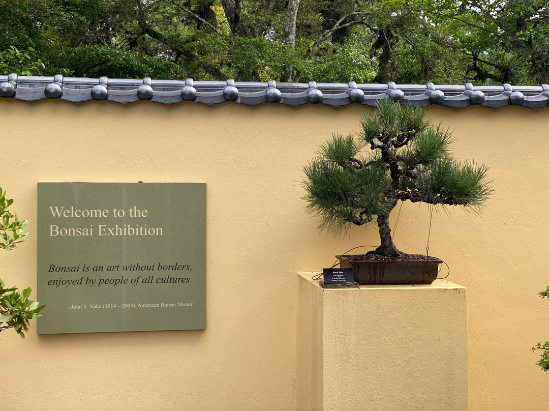 Morikami Museum & Japanese Gardens-德拉海滩必去景点