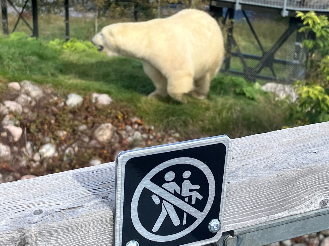 Zoo Sauvage of Saint-Felicien-Saint-Felicien必去景点