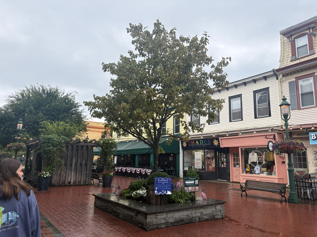 Washington Street Mall-开普梅必去景点
