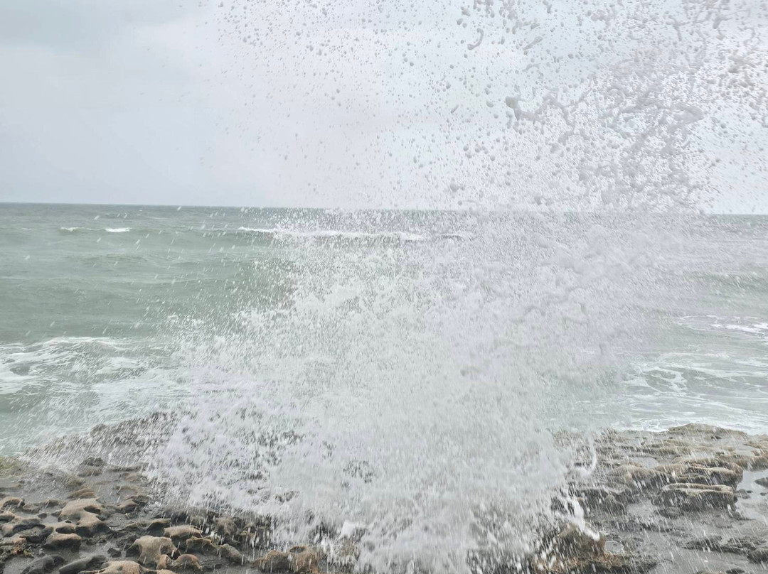 Blowing Rocks Nature Preserve-朱庇特必去景点