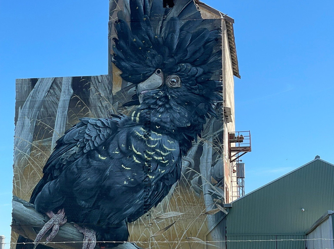 Horsham Silo Art-霍舌姆必去景点