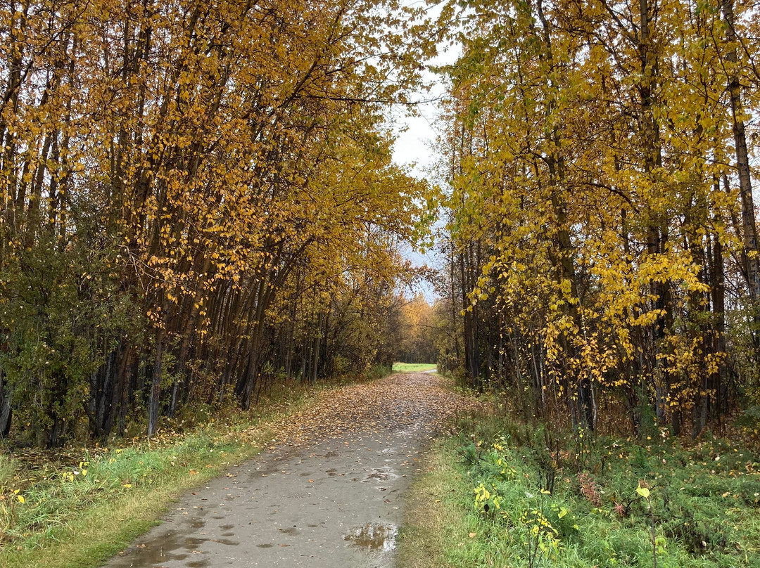Creamer's Field Migratory Waterfowl Refuge-费尔班克斯必去景点