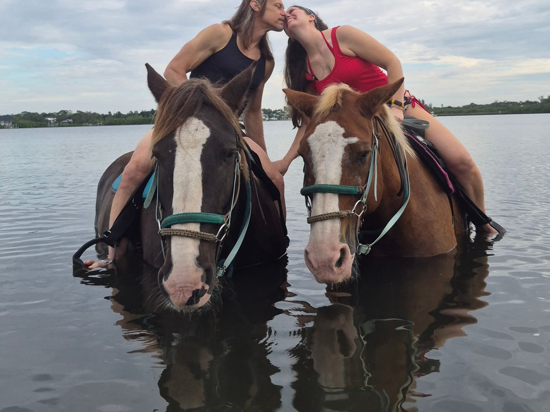 Florida Beach Horses-布雷登顿必去景点