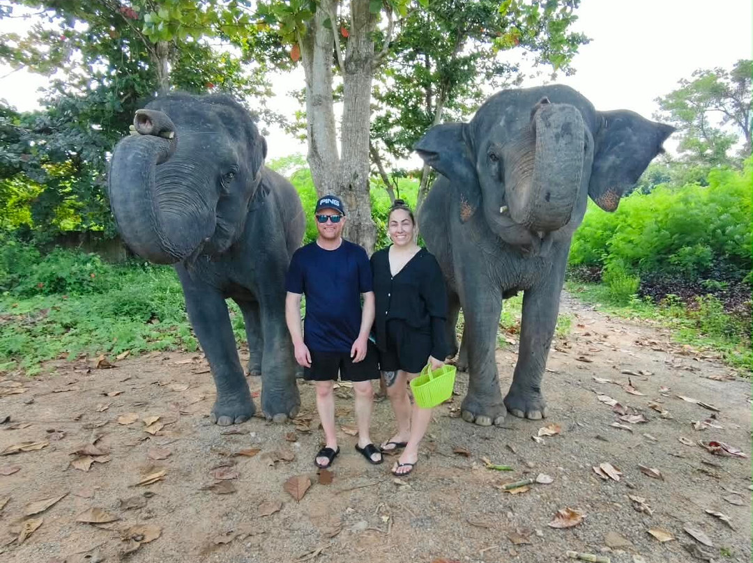 The Lake Phuket Elephant Home-Thep Krasatti必去景点