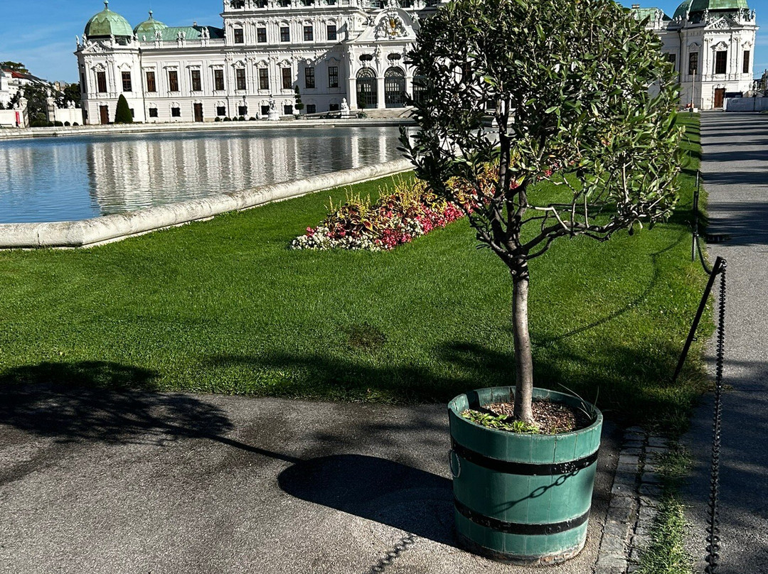Jardines de Belvedere-维也纳必去景点