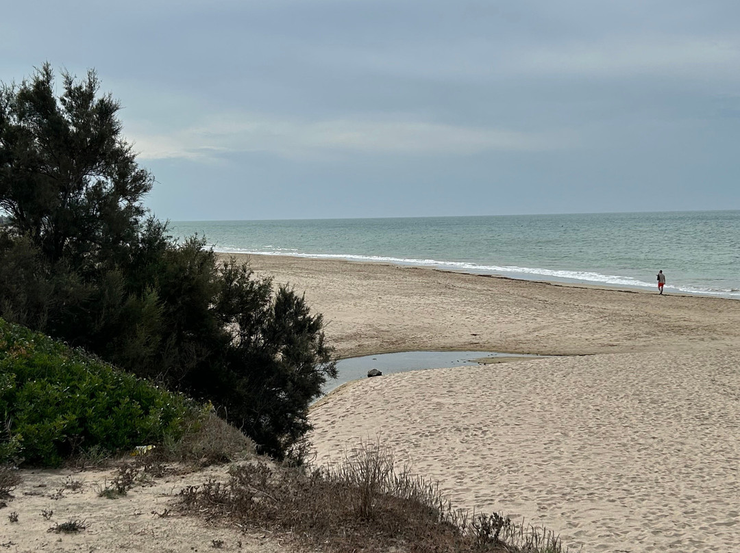 Playa De Costa Ballena-罗塔必去景点