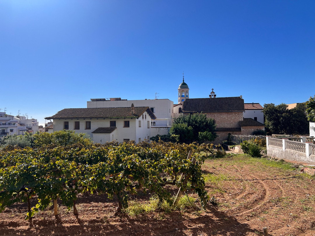 Centre d'Interpretacio De La Malvasia-锡切斯必去景点