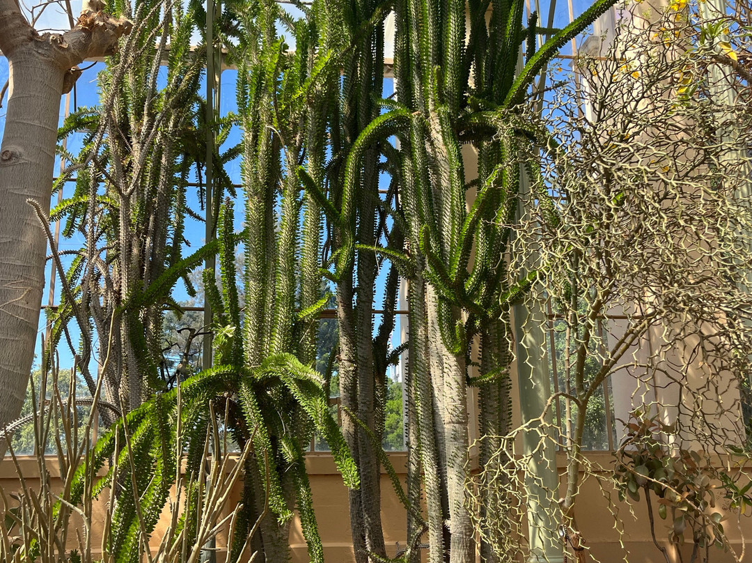 阿德莱德植物园-阿德莱德必去景点