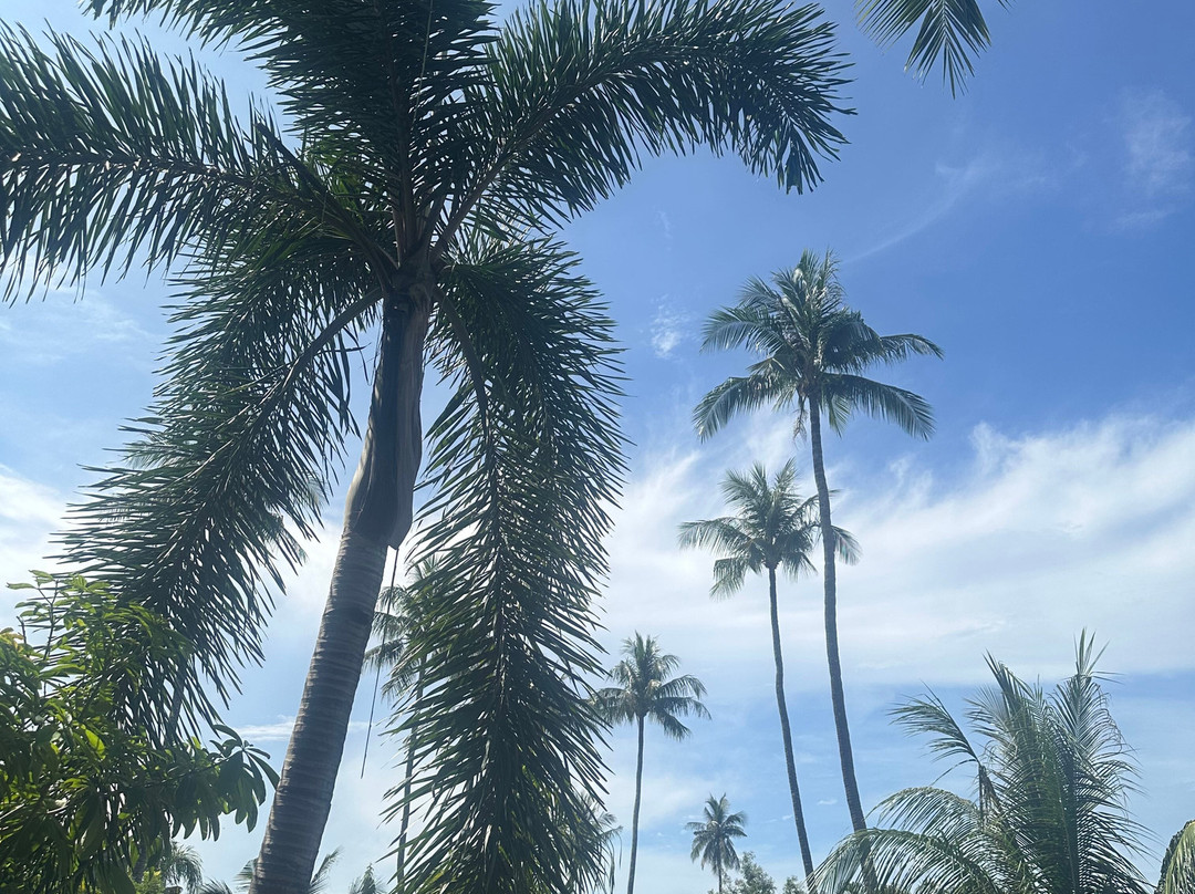 友谊海滩度假村-Atmanjai健康水疗中心主图