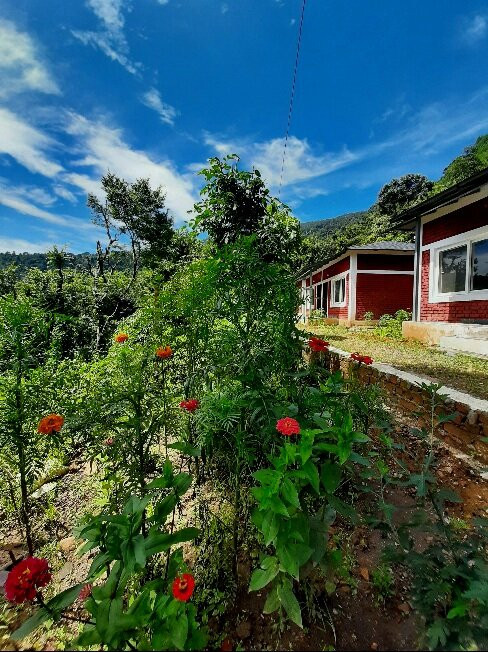 Char Machan Resort主图