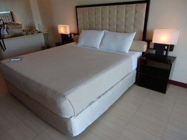 达尔西内亚套房酒店