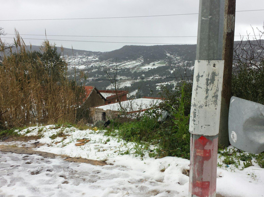 Tulip Inn Ain Draham Hotel