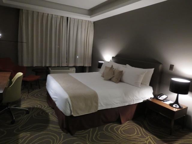 Hotel Spark Santiago Aeropuerto-客卧