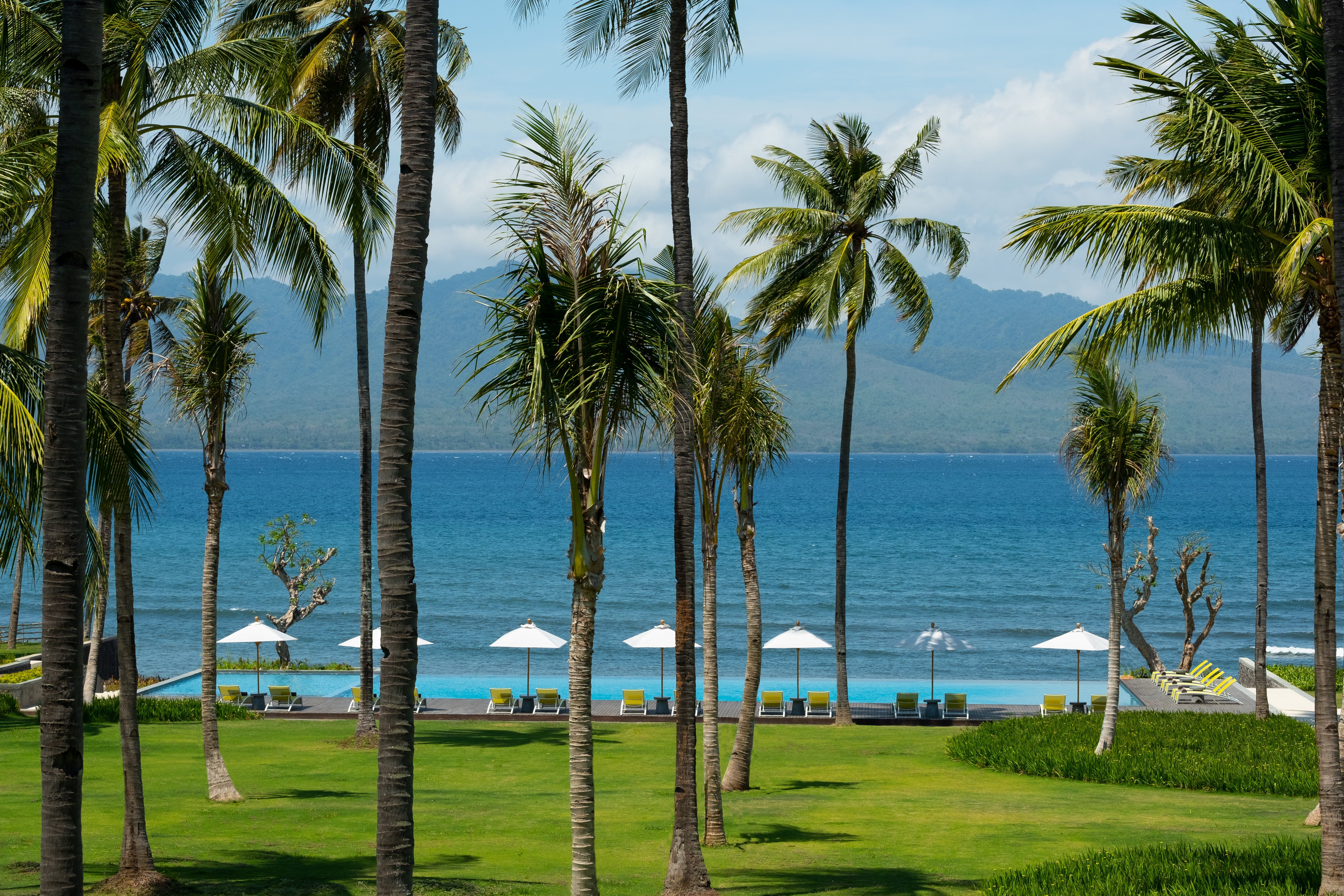Dialoog Banyuwangi-官方