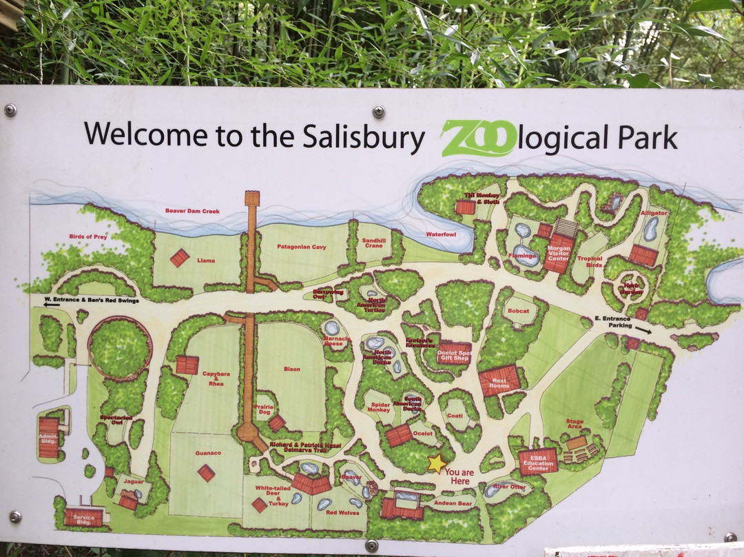 Salisbury Zoo景点图片