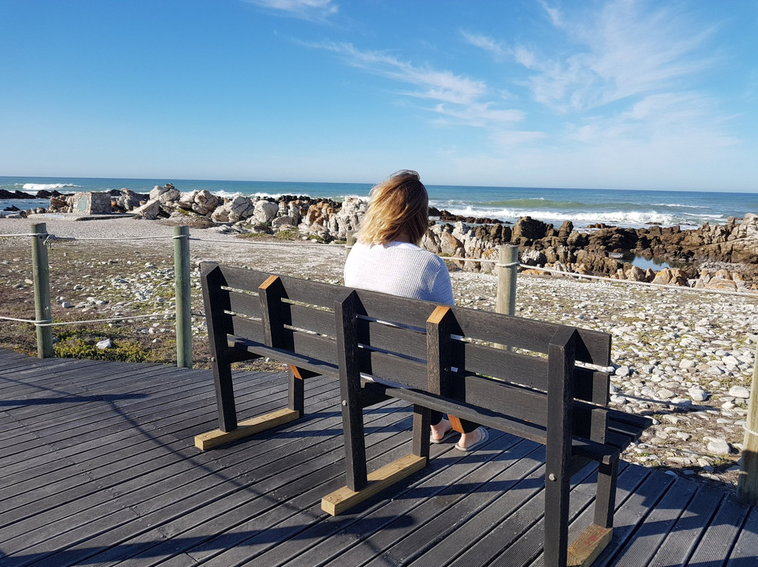 Tip of Africa Information Centre-Struisbaai必去景点