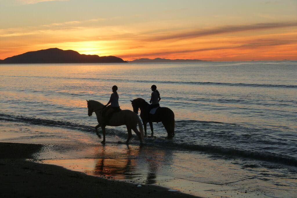 Beachbrook Riding Stables景点图片