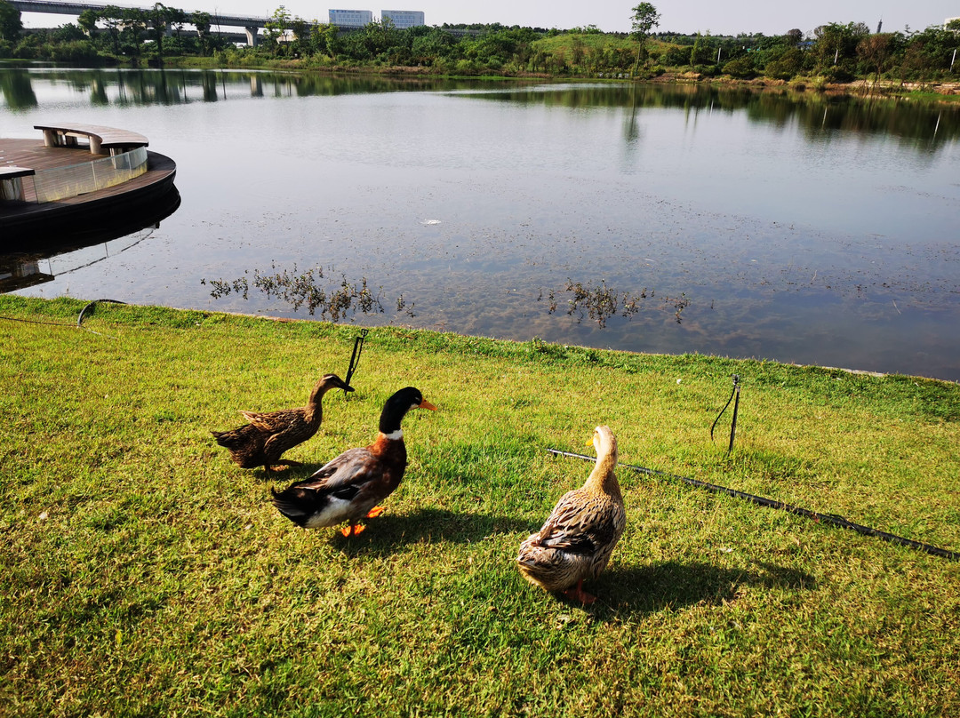 长沙机场凯悦嘉轩酒店主图