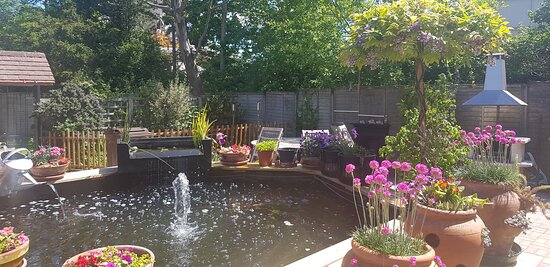 Briar-Glen Bed and Breakfast-酒店景观