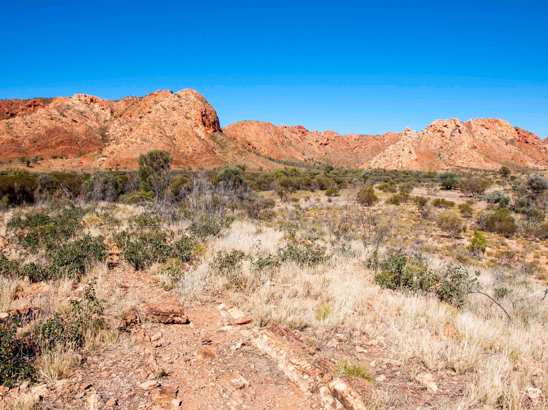 Glen Helen旅游景点-Tnorala (Gosse Bluff) Conservation Reserve