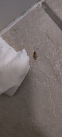 IHG Army Hotels Gavin House