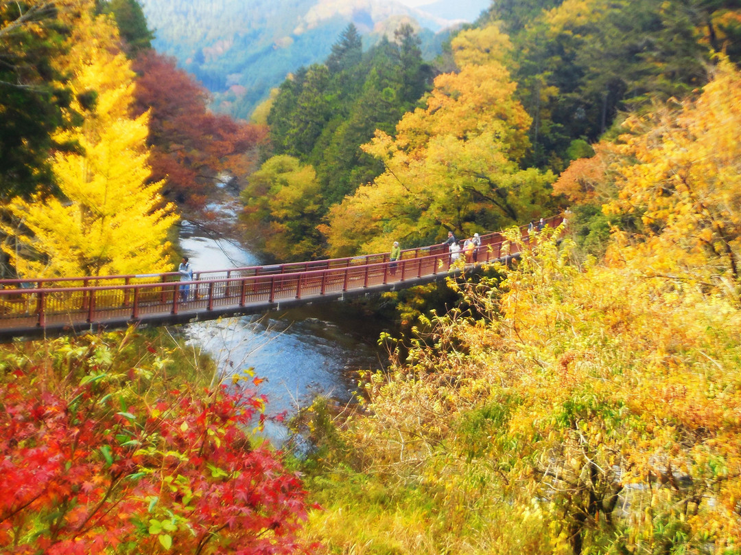 秋留野市旅游景点-Akigawa Valley
