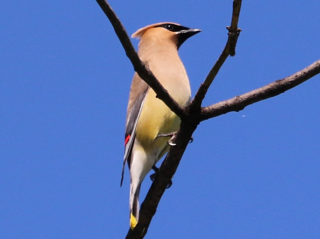 Ottawa River-安大略省必去景点
