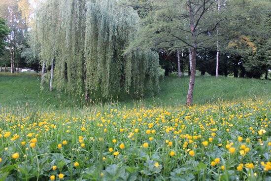 Arboretum de Lisieux景点图片