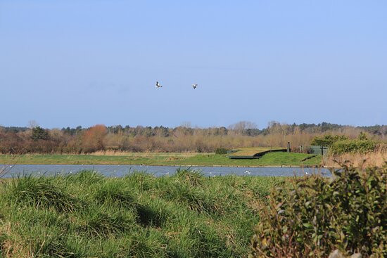 Baie de Somme Exploration-Buigny-Saint-Maclou必去景点