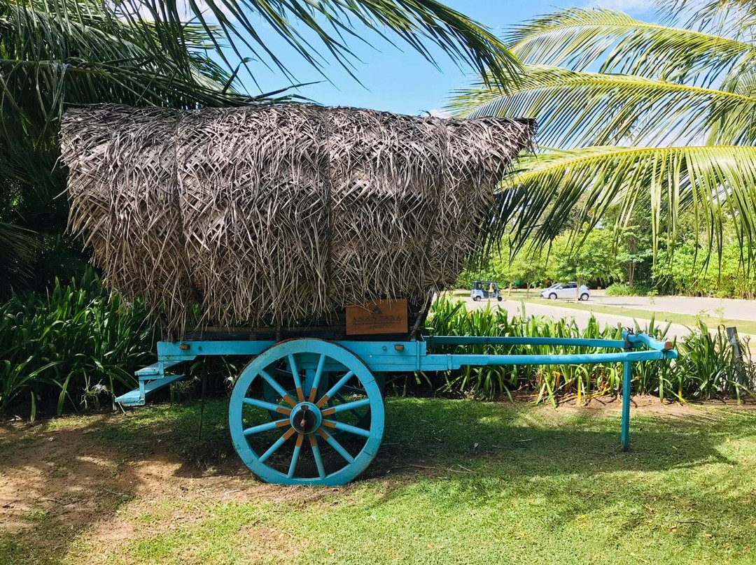 棠高世外桃源安纳塔拉度假酒店主图