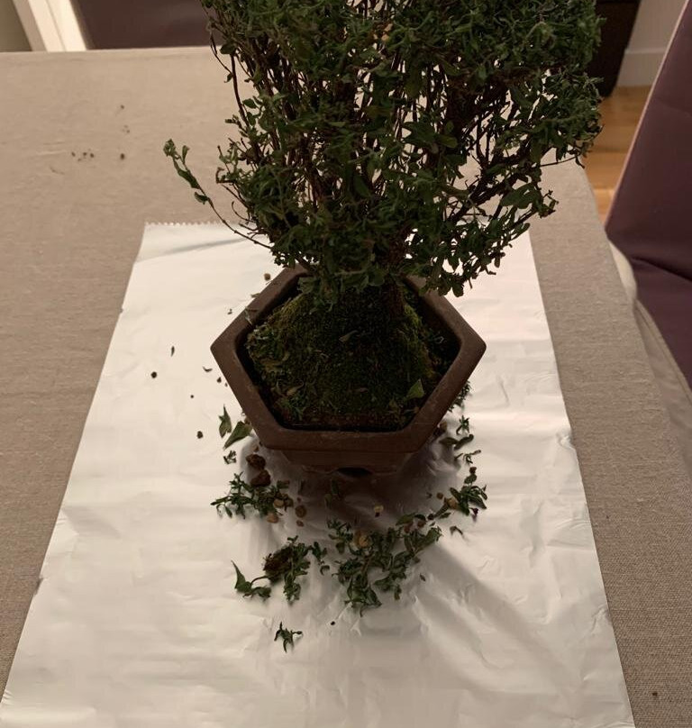 Camarles旅游攻略图片